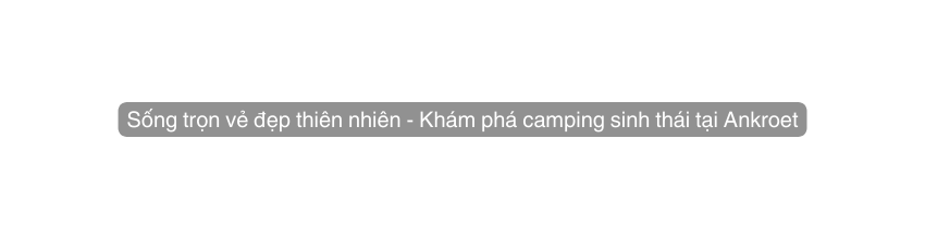 Sống trọn vẻ đẹp thiên nhiên Khám phá camping sinh thái tại Ankroet